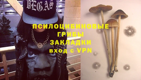 гашик Армянск